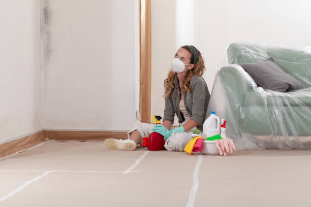 Reliable Mold Remediation contractor in Knightdale, NC by Cheap Mold Removal